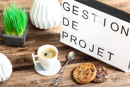 Chef de projets informatiques  Kalyptus, IT & Digital Executive Search