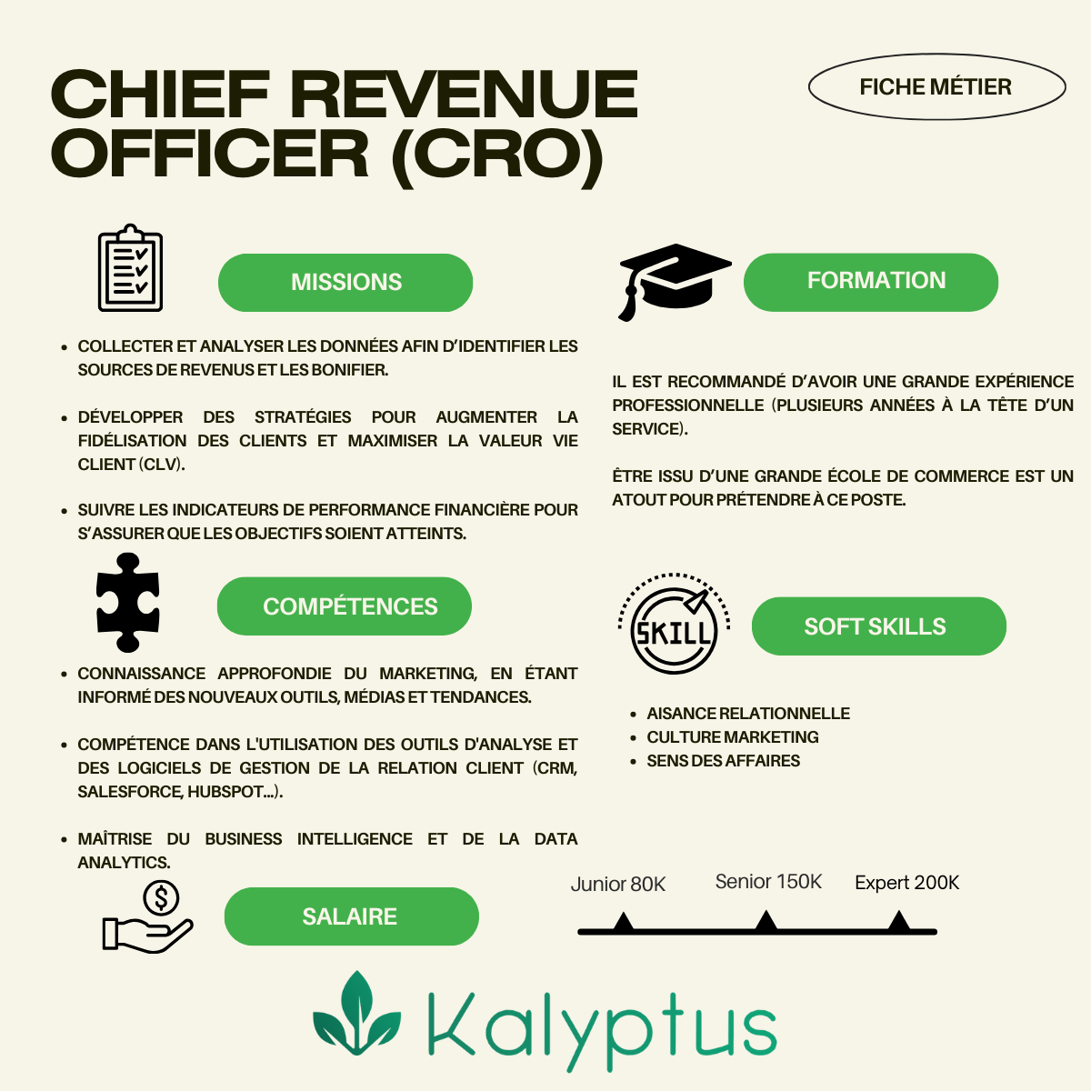 CRO (Chief Revenue Officer): Missions, Formations, Salaire